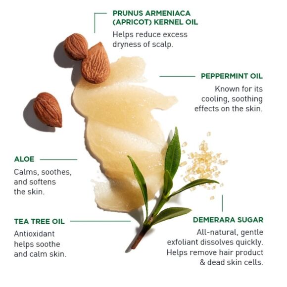 🦋$6 ~ Jack Black Exfoliating Scalp Scrub & Shampoo ~ NEW - Picture 5 of 7